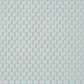Thibaut Parada Aqua Wallpaper