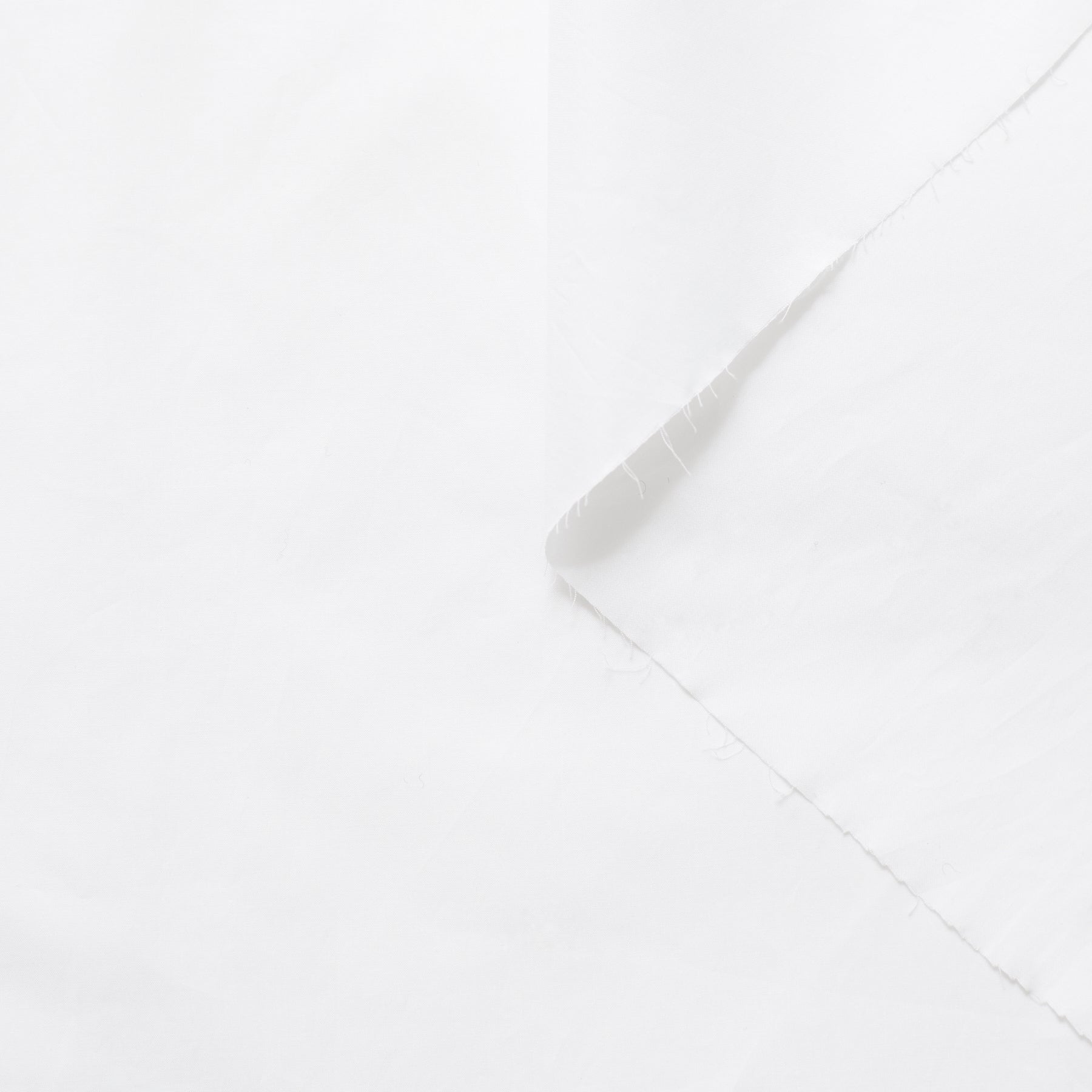 T21B00464 | Lustre Cotton Poplin